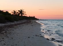 Cayo Coco Cuba