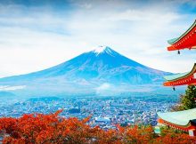 viajes organizados a Japón