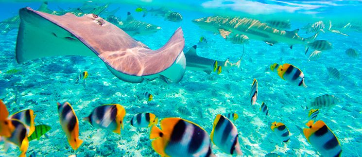 viajar a Maldivas con Exoticca