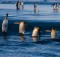 Islas Kerguelen