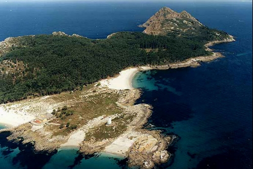 cies