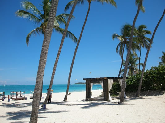 dominicana