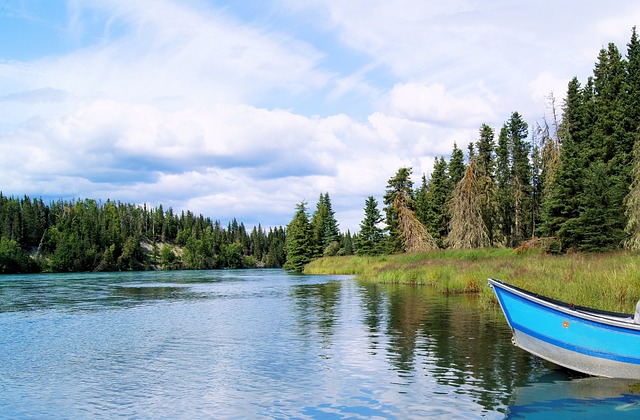 kenai-river-566589_640