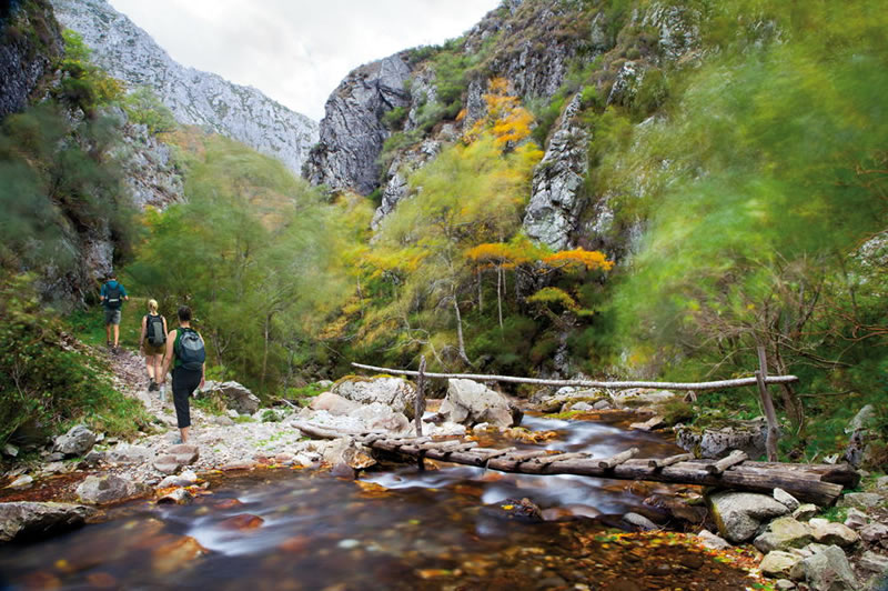 parque-natural-de-redes